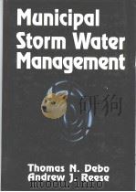 Municipal Storm Water Management PDF电子版封面 0873719816