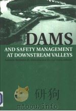 DNMS AND SAAFETY MANAGEMENT AT DOWNSTREAM VALLEYS PDF电子版封面 9054109165