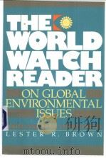 THE WORLD WATCH READER PDF电子版封面 0393308308
