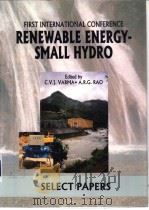 FIRST INTERNATIONAL CONFERENCE RENEWABLE ENERGY-SMALL HYDRO     PDF电子版封面  9054107499   