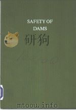 SAFETY OF DAMS PDF电子版封面 906191521X J.LAGINHA SERAFIM