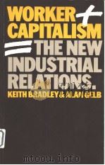 WORKER CAPITALSM PDF电子版封面 0435820834