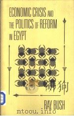 Economic crisis and the politics of reform in Egypt PDF电子版封面 0813336767 Ray Bush