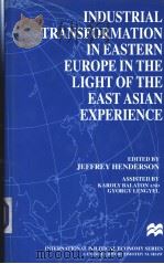 Industrial transformation in Eastern Europe in the light of the East Asian experience PDF电子版封面 0333682084