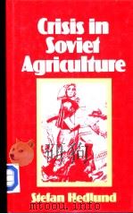 Crisis in Soviet Agriculture PDF电子版封面 0312174012 Stefan Hedlund