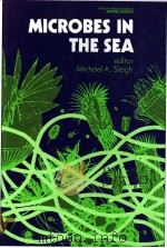 MICROBES IN THE SEA（ PDF版）