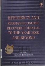 EFFICIENCY AND RUSSIA'S ECONOMIC RECOVERY POTENTIAL TO THE YEAR 2000 AND BEYOND PDF电子版封面 1840144114