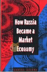 How Russia Became a Market Economy PDF电子版封面 0815704267