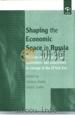 Shaping the Economic Space in Russia PDF电子版封面 0754614077