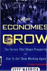 WHY ECONOMIES GROW:the forces that shape prosperity and how we can get them working again PDF电子版封面 0465043119