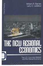 THE NEW REGIONAL EGCONOMIES:the U.S.common market and the global economy PDF电子版封面 0761909397