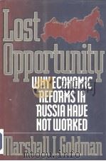 Lost Opportunity:why economic reforms in Russia have not worked PDF电子版封面 0393037002