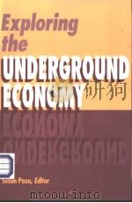 Exploring the UNDERGROUND ECONOMY:studies of illegal and unreported activity PDF电子版封面 0880991658