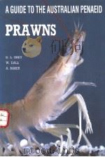 A GUIDE TO THE AUSTRALIAN PENAEID PRAWNS PDF电子版封面 724506195