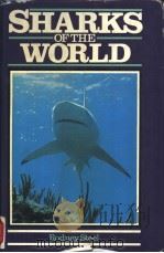 SHARKS OF THE WORLD（ PDF版）