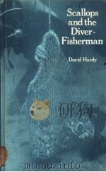 Scallops and the Diver-Fisherman（ PDF版）