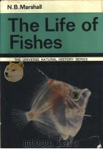 The Life of Fishes THE UNIVERSE NATURAL HISTORY SERIES PDF电子版封面 0876631219
