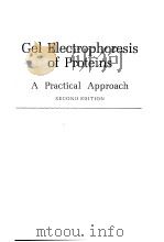 Gel Electrophoresis of Proteins A Practical Approach SECOND EDITION PDF电子版封面 0199630747