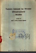 Tumors Induced by Viruses:Ultrastructural Studies 1962 PDF电子版封面