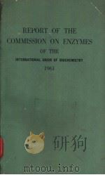 REPORT OF THE Commission on Enzymes of the International Union of Biochemistry 1961 PDF电子版封面