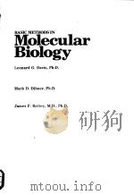 BASIC METHODS IN Molecular Biology PDF电子版封面 0444010823