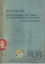 ENZYMATIC SYNTHESIS OF DNA（ PDF版）