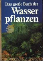 Das grobe Buch der Wasserpflanzen PDF电子版封面