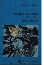 SESSILE ANIMALS OF THE SEA SHORE PDF电子版封面 0412337606
