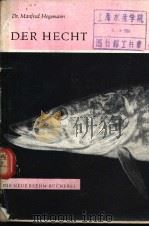 DER HECHT PDF电子版封面