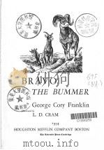 BRAVO THE BUMMER PDF电子版封面