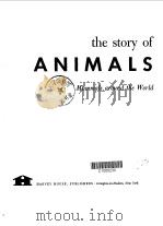 the story of ANIMALS Mammals around the World PDF电子版封面