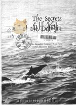 The Secrets of the Dolphin（ PDF版）