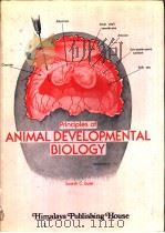 PRINCIPLES OF ANIMAL DEVELOPMENTAL BIOLOGY PDF电子版封面 SURESH C.GOEL