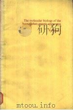 The molecular biology of the mammalian genetic apparatus Volume 1 PDF电子版封面 0720406250 Paul O.P.Ts’o