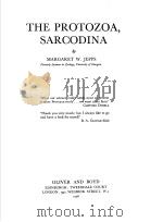 THE PROTOZOA,SARCODINA PDF电子版封面 MARGARET W.JEPPS