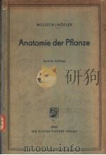 Anatomie der Pflanze PDF电子版封面