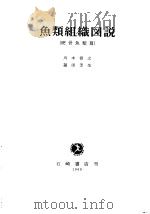 鱼类组织图说  （硬骨鱼类篇）  （日）（昭和44年06月第1版 PDF版）