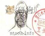 人体生理解剖实验室  （日）（ PDF版）