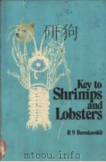 Key to Shrimps and Lobsters RUSSIAN TRANSLATIONS SERIES 5 PDF电子版封面 9061912962 R.N.BURUKOVSKII