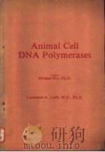 Animal Cell DNA Polymerases PDF电子版封面 0849365074
