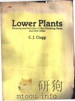Lower Plants Anatomy and Activities of Non-flowering Plants and Their Allies PDF电子版封面 0719540100 C.J.Clegg