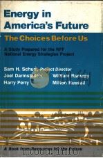 Energy in America's Future（ PDF版）