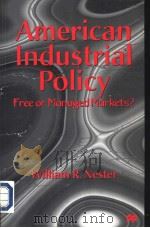 American industriad puluy PDF电子版封面 0333682238