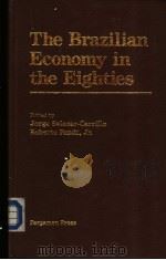 The Brazilian Economy in the Eighties PDF电子版封面 008031953X