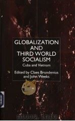GLOBALIZATION AND THIRD WORLD SOCIALISM PDF电子版封面 0333800435
