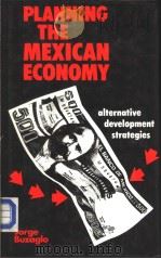 PLANNING THE MEXICAN ECONOMY ALTERNATIVE DEVELOPMENT STRATEGIES PDF电子版封面 0312614330 JORGE BUZAGLO