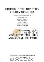 西学基本经典·经济学类  货币数量理论研究  英文（1999 PDF版）