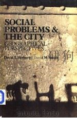 SOCIAL PROBLEMS AND THE CITY PDF电子版封面 0198740808