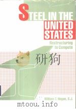 Steel in the United States:Restructuring to compete PDF电子版封面 0669082341 William T.Hogan