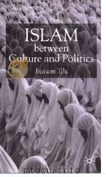 Islam between culture and politics PDF电子版封面 0333751213